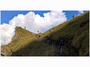 herbstwanderung_1745.jpg