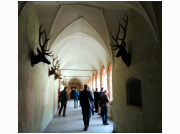 innsbruck_2022_49.jpg