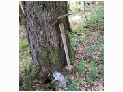 herbstwanderung23_81.jpg