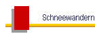 Schneewandern