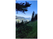 herbstwanderung24_15.jpg