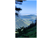 herbstwanderung24_16.jpg
