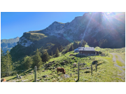 herbstwanderung24_22.jpg