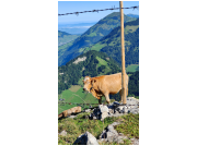 herbstwanderung24_25.jpg