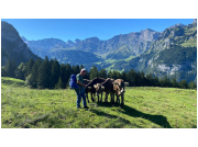 herbstwanderung24_30o.jpg