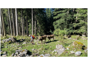 herbstwanderung24_30r.jpg