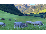herbstwanderung24_74.jpg