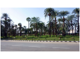 luxor0014.jpg