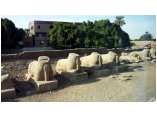 luxor0015.jpg