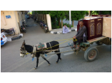 luxor0019.jpg