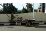 luxor0020.jpg