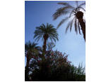 luxor0102.jpg