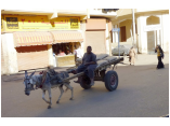luxor0120.jpg