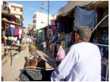 luxor0124.jpg