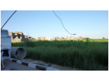 luxor0126.jpg