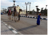 luxor0238.jpg