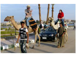 luxor0240.jpg