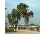 luxor0241.jpg