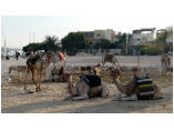 luxor0242.jpg