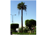 luxor0274.jpg