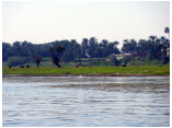 luxor0290.jpg