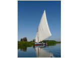 luxor0294.jpg