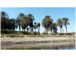 luxor0299.jpg