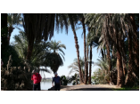 luxor0304.jpg