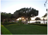 luxor0335.jpg