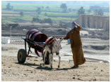 luxor0383.jpg