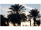 luxor0487.jpg