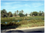 luxor0521.jpg