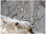 luxor0563.jpg