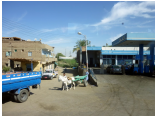 luxor0584.jpg
