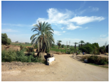 luxor0586.jpg
