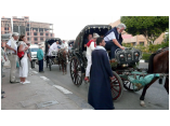 luxor0612.jpg
