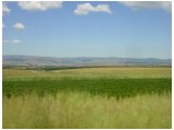 afrika07389.jpg