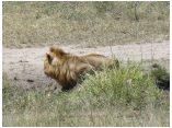 afrika07503.jpg