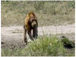 afrika07504.jpg