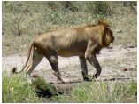 afrika07505.jpg