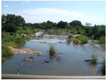afrika07506a.jpg