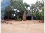afrika07523.jpg