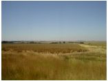 afrika07549.jpg