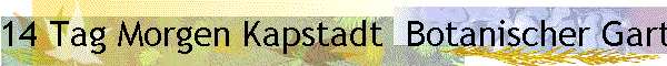 14 Tag Morgen Kapstadt  Botanischer Garten