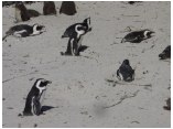 afrika07670.jpg