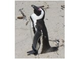 afrika07676.jpg
