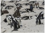 afrika07684.jpg