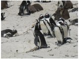 afrika07685.jpg