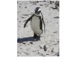afrika07697.jpg