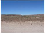 afrika07033.jpg